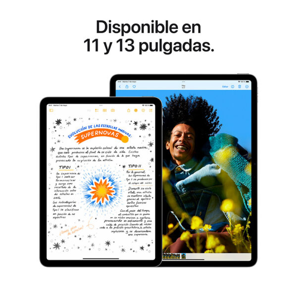 iPad Air 11" Chip M2 1TB Púrpura